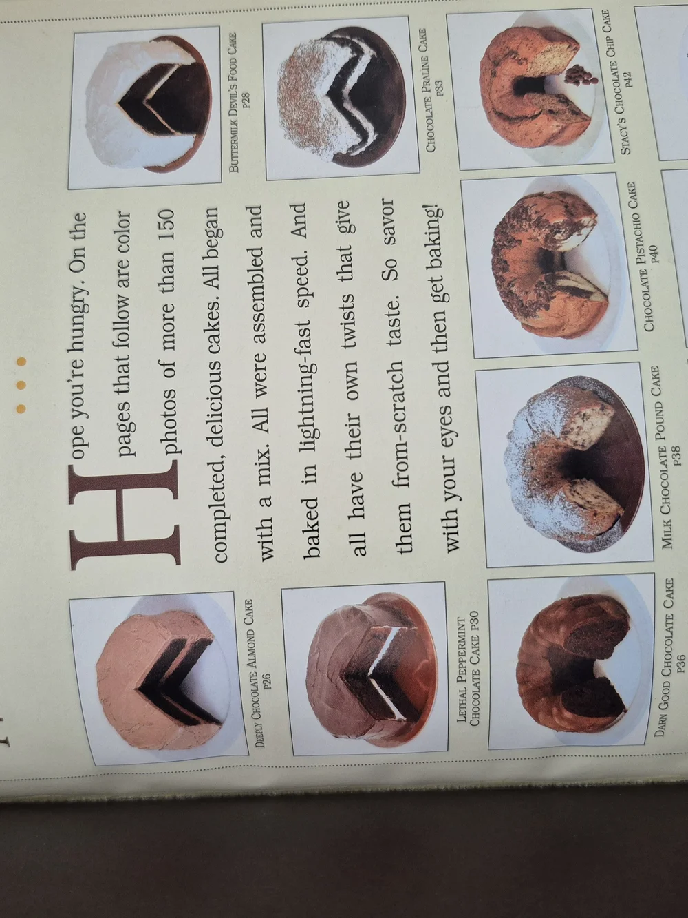 The Cake Doctor Mix Cookbook by Anne Byrn Illustrated With Photos